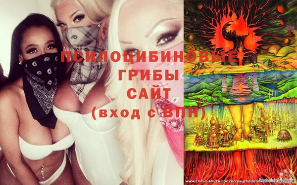 мдпв Корсаков